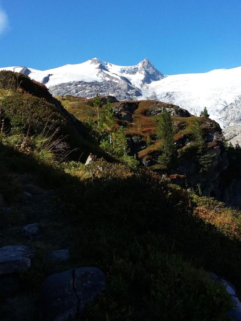 Gästehaus Zedlacherhof Matrei in Osttirol Exterior foto
